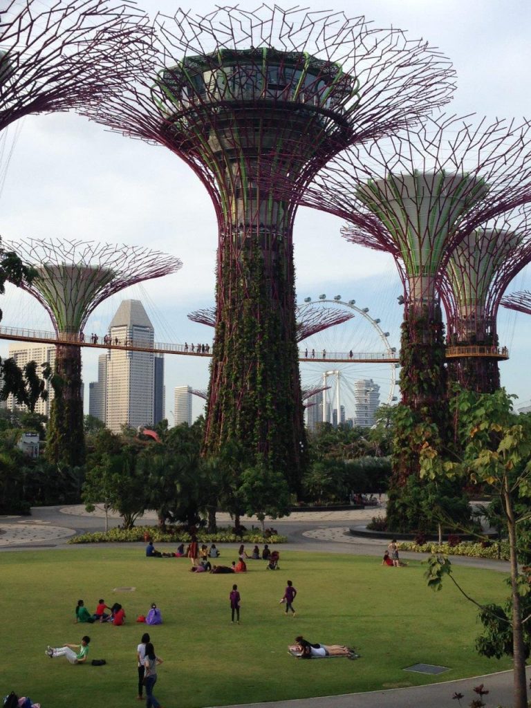 Gardens by the bay, Singapore