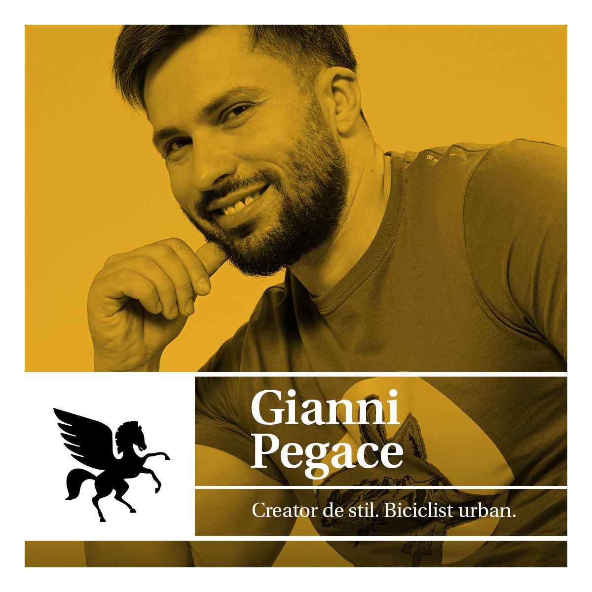 Gallery slide