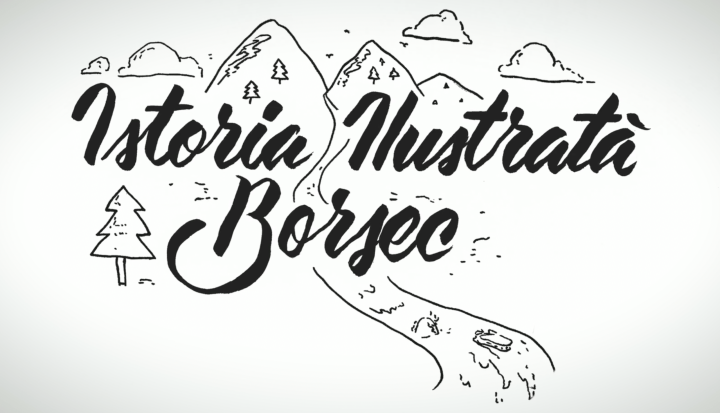 Povestea BORSEC
