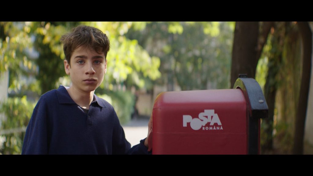 Siguranta Scolara School Safety